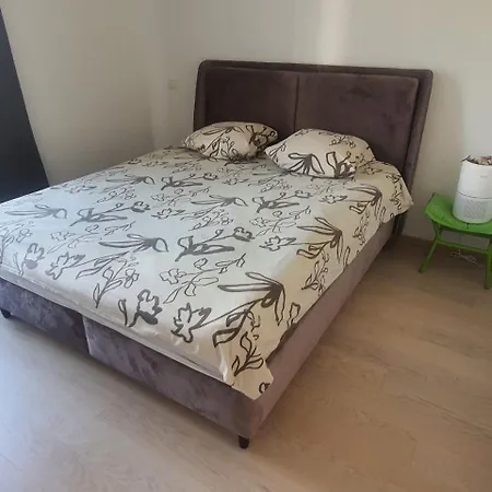 Homestay Lauluvaeljak, Kadriorg *